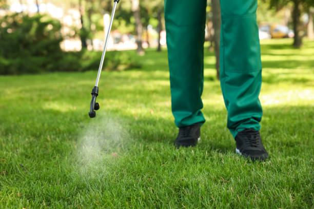 Best Residential Pest Control  in Homestead, FL