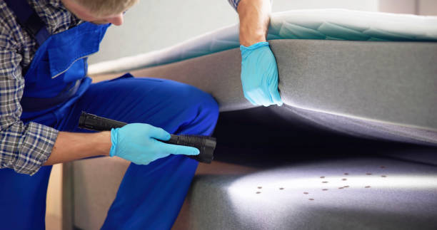 Best Exterminator Services  in Homestead, FL