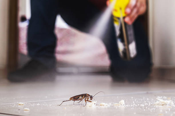Best Pest Control Near Me  in Homestead, FL