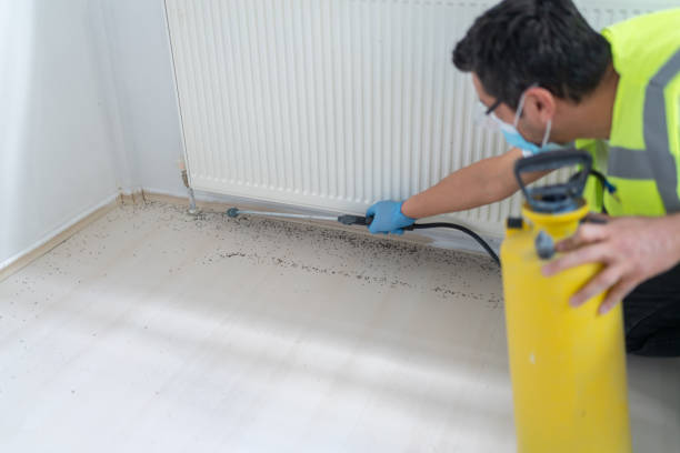 Best Termite Control Services  in Homestead, FL