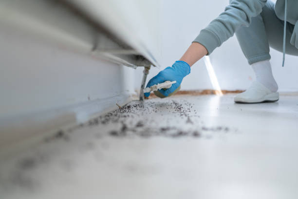 Best Rat Extermination Near Me  in Homestead, FL